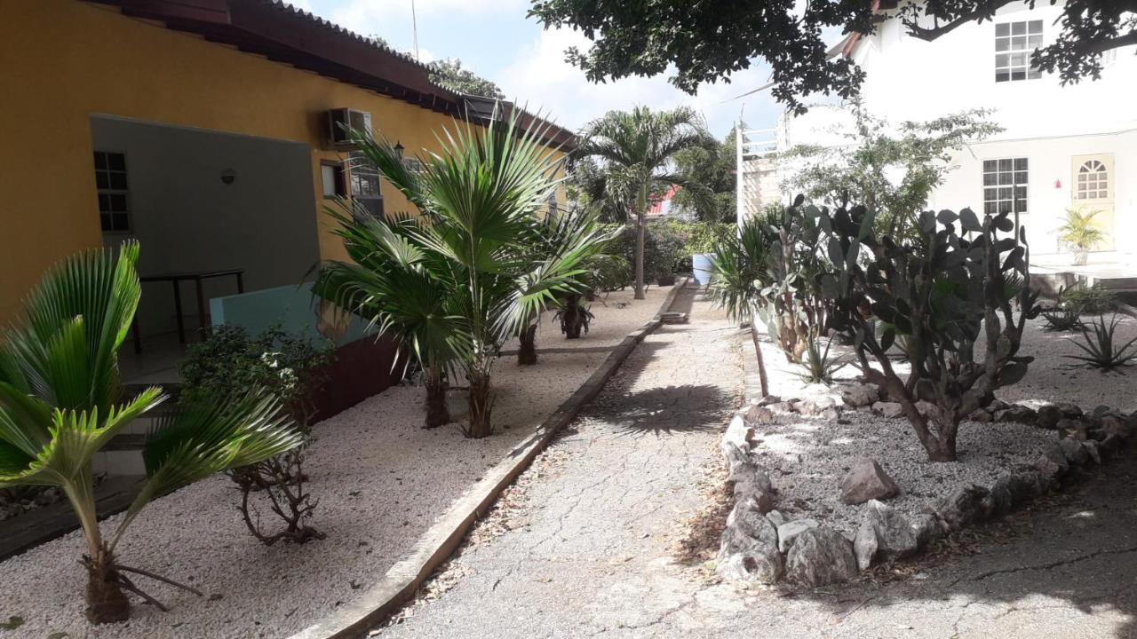 Happy Turtle Apartments Willemstad Bagian luar foto