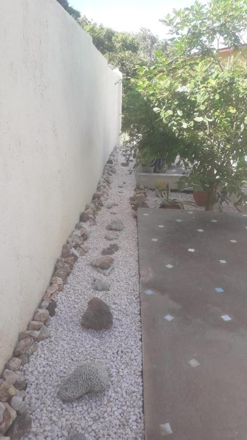 Happy Turtle Apartments Willemstad Bagian luar foto