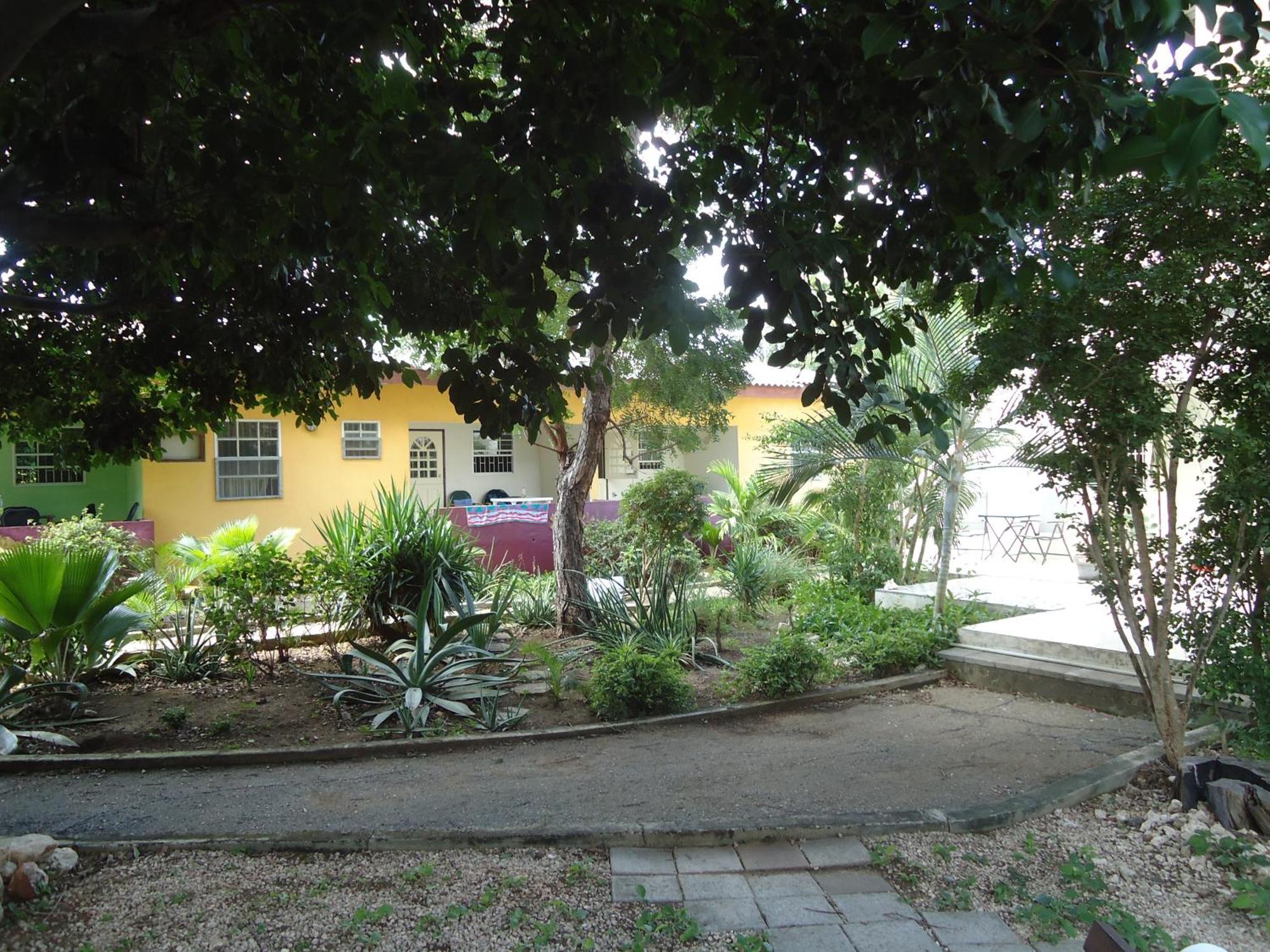 Happy Turtle Apartments Willemstad Bagian luar foto