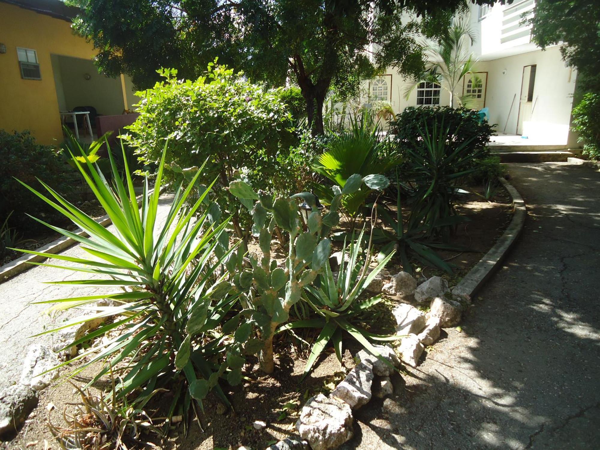 Happy Turtle Apartments Willemstad Bagian luar foto