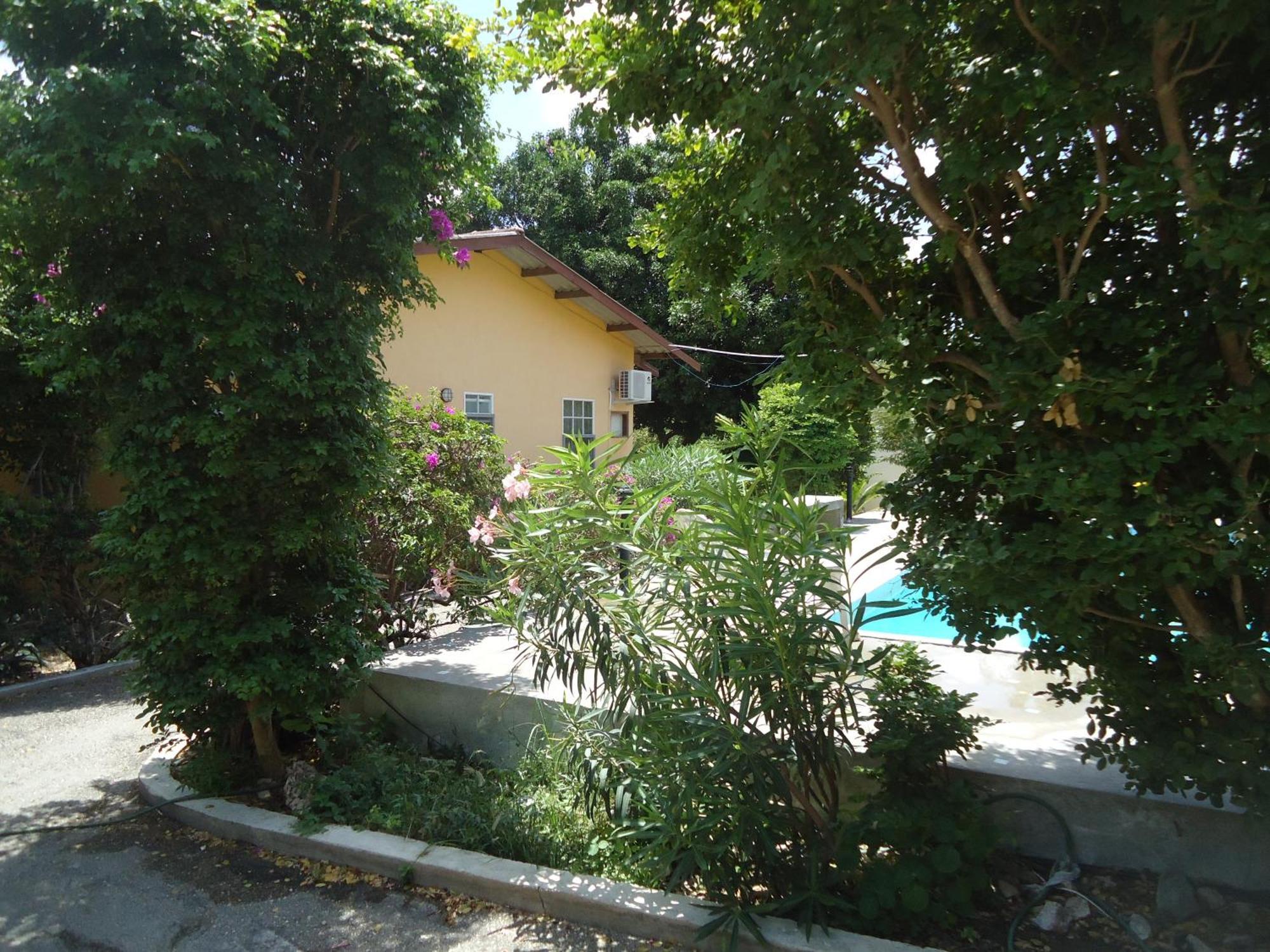 Happy Turtle Apartments Willemstad Bagian luar foto