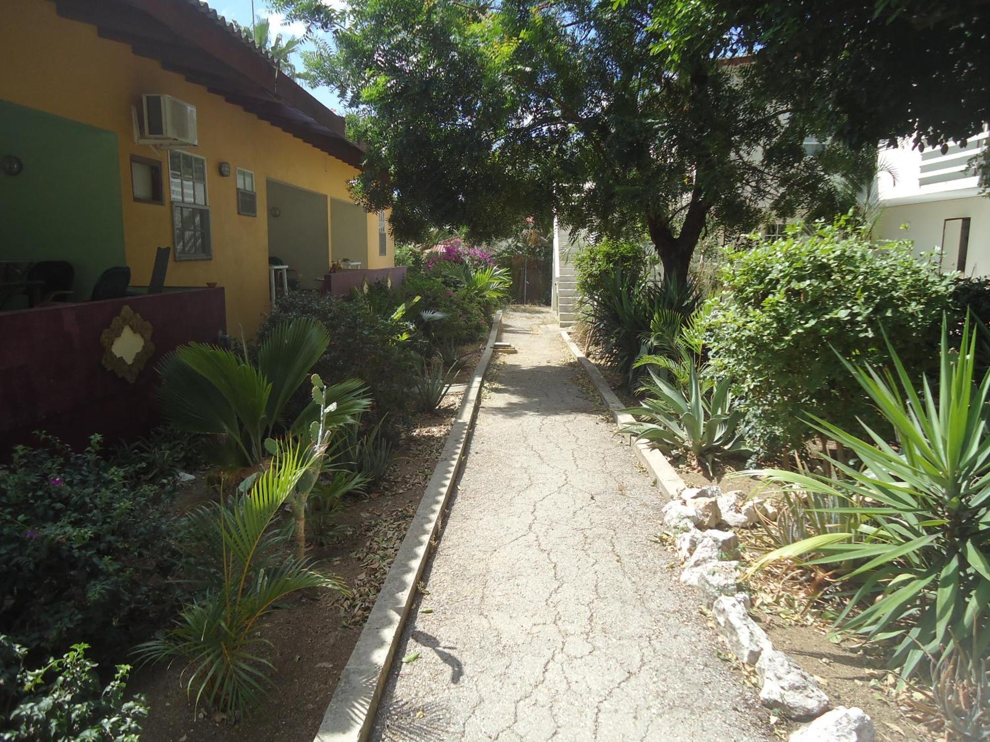 Happy Turtle Apartments Willemstad Bagian luar foto