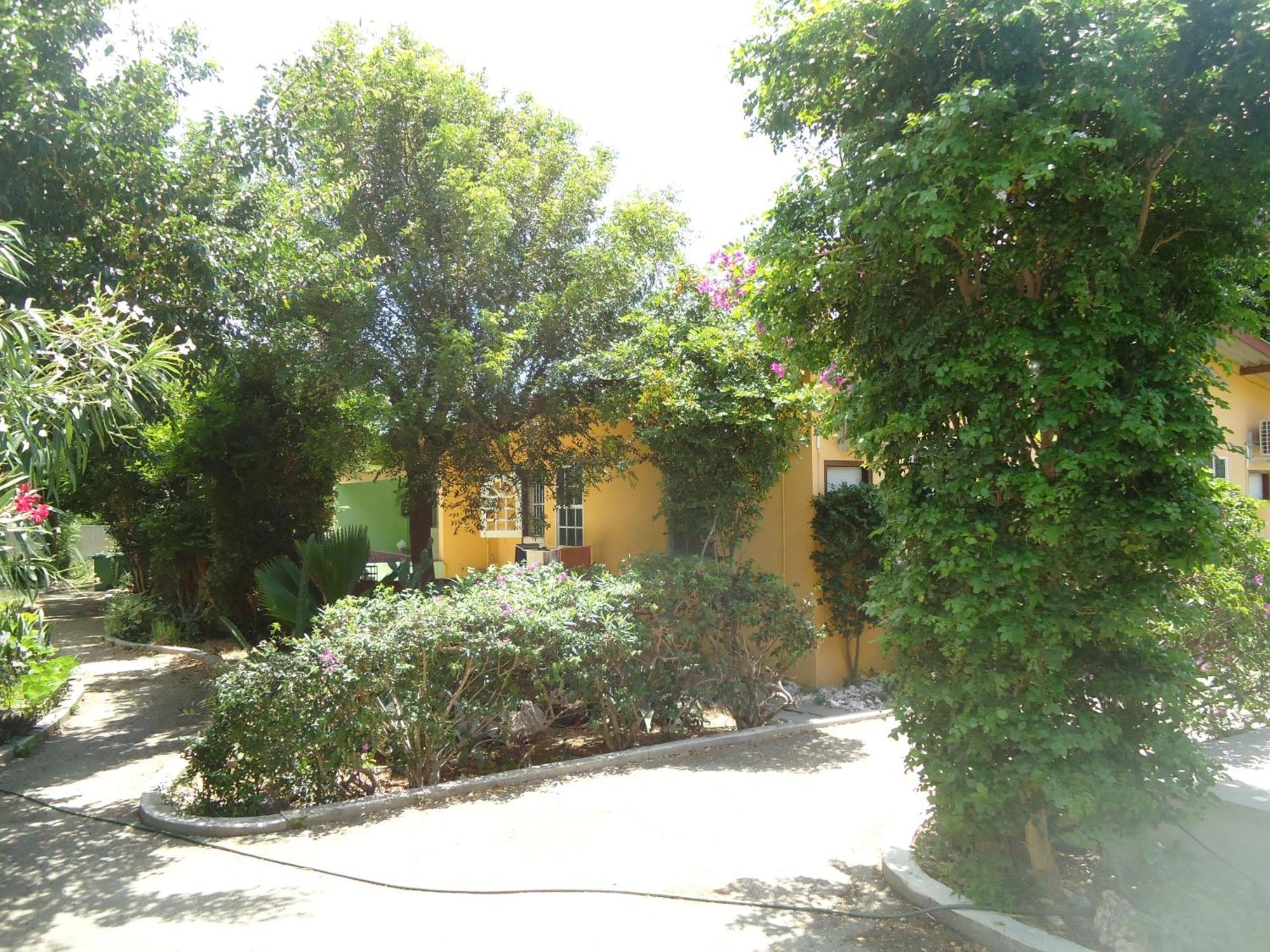 Happy Turtle Apartments Willemstad Bagian luar foto