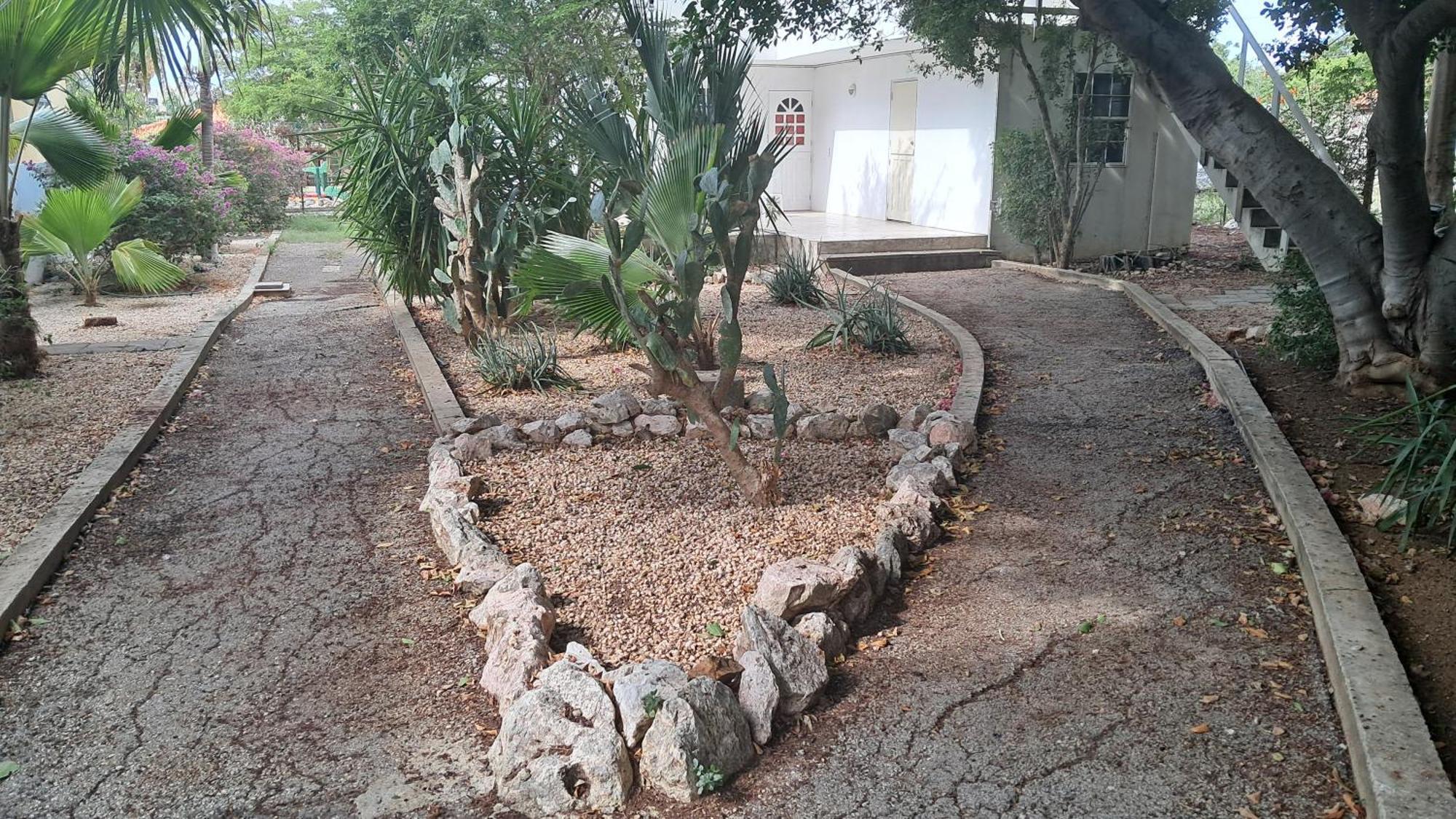 Happy Turtle Apartments Willemstad Bagian luar foto