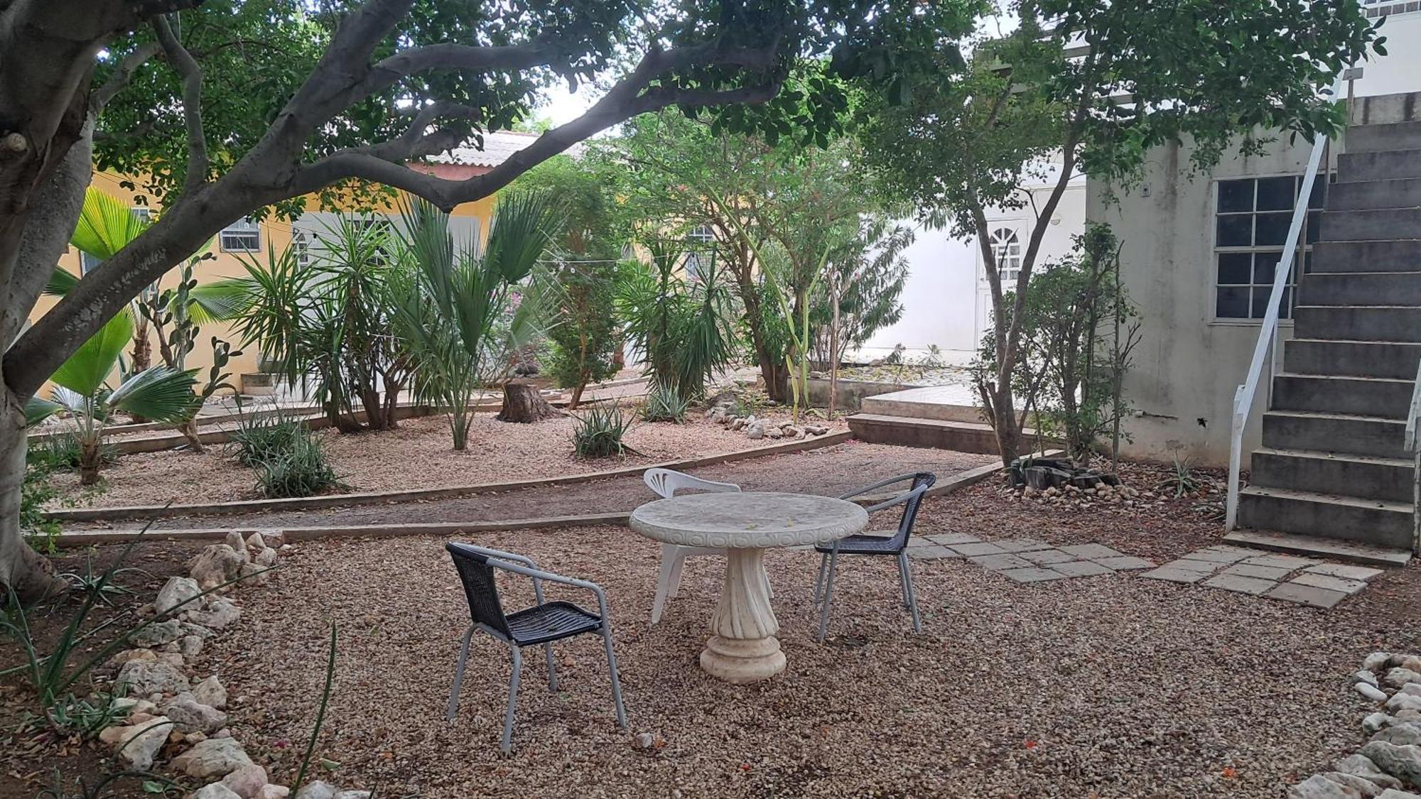 Happy Turtle Apartments Willemstad Bagian luar foto