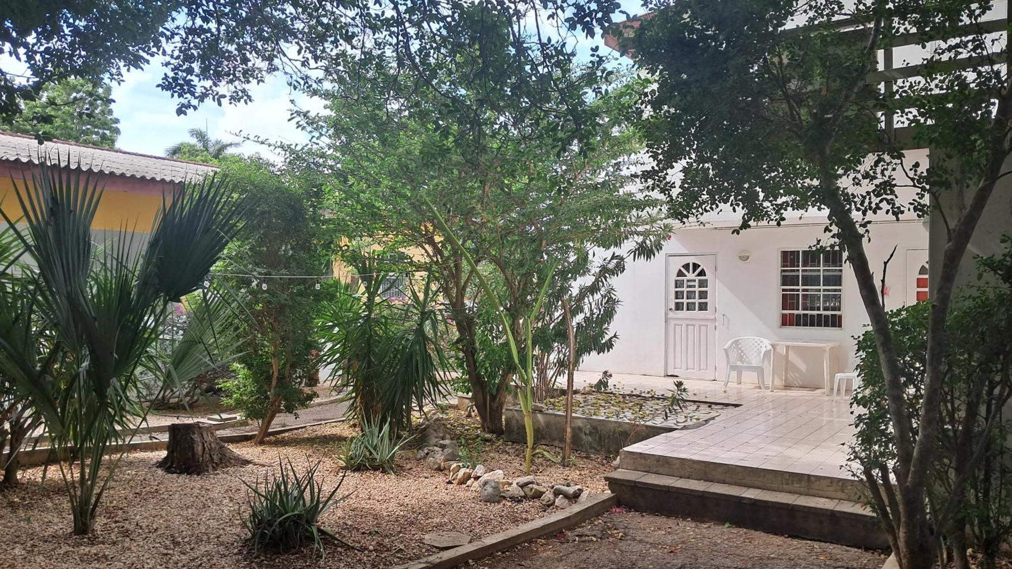 Happy Turtle Apartments Willemstad Bagian luar foto