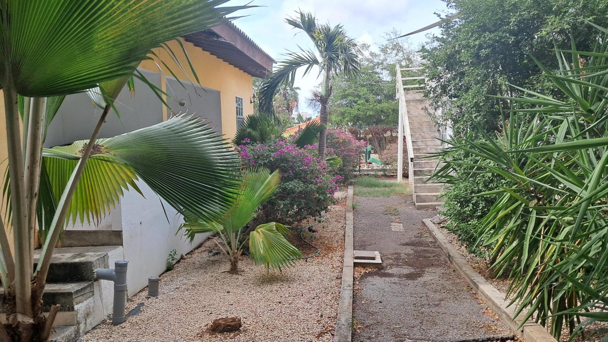 Happy Turtle Apartments Willemstad Bagian luar foto
