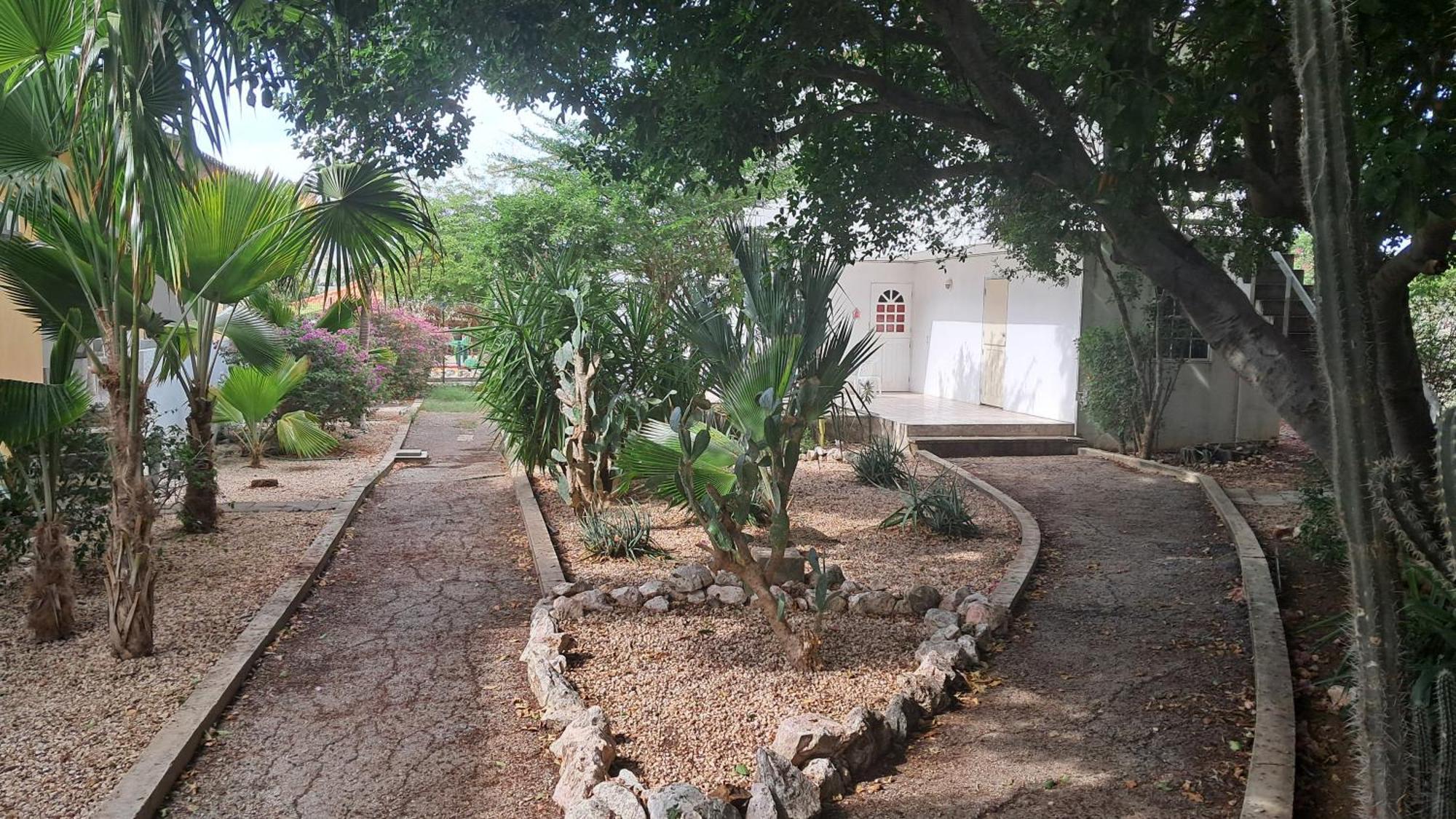 Happy Turtle Apartments Willemstad Bagian luar foto