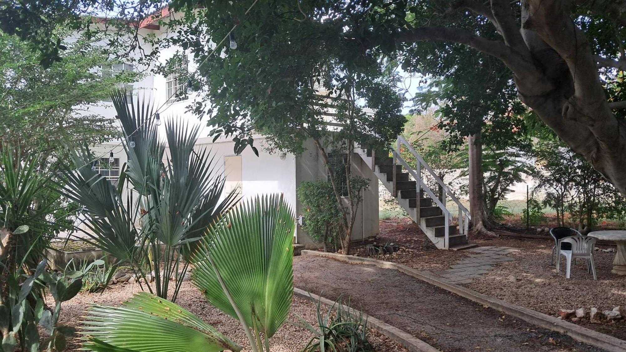 Happy Turtle Apartments Willemstad Bagian luar foto