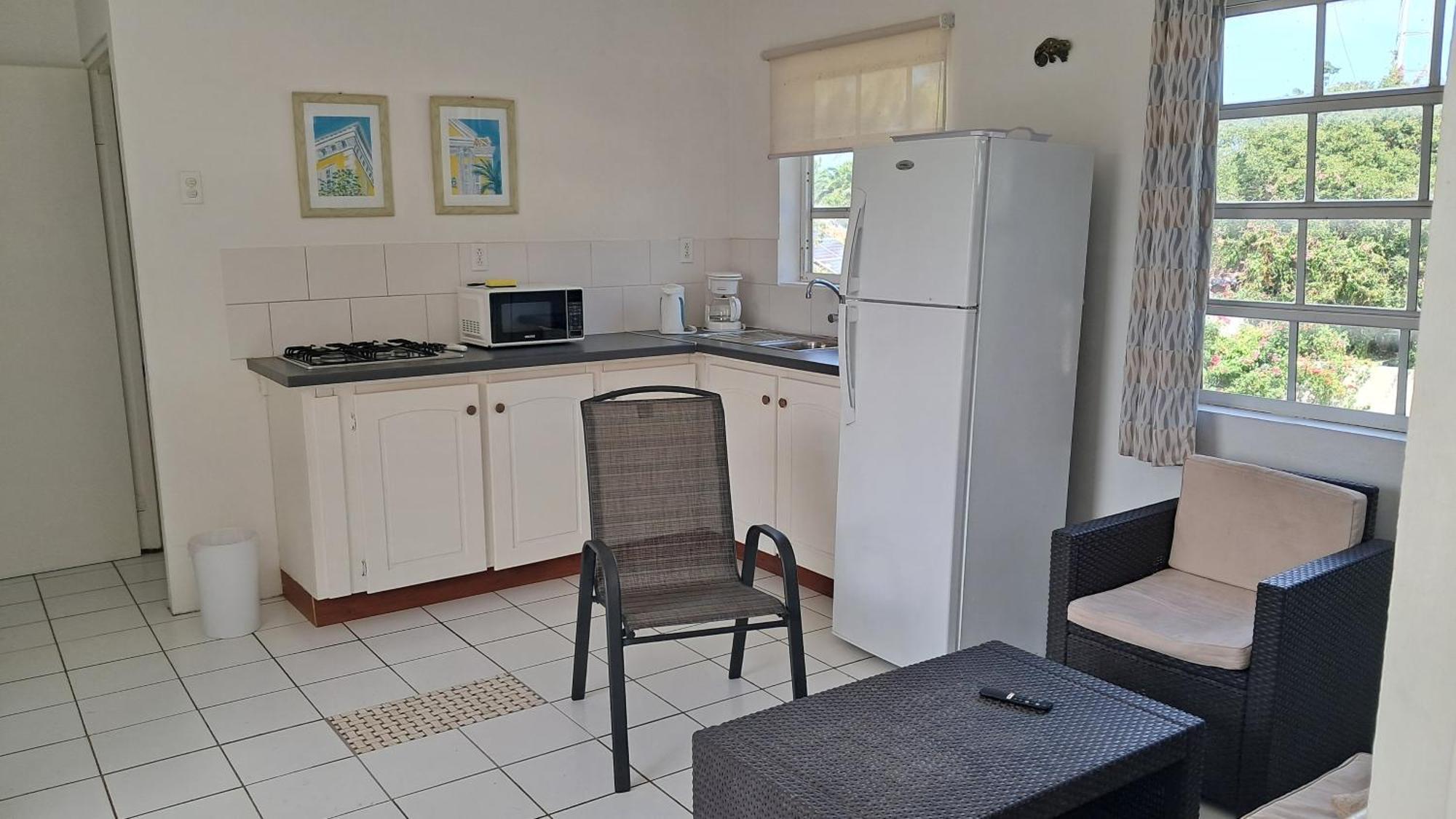 Happy Turtle Apartments Willemstad Bagian luar foto